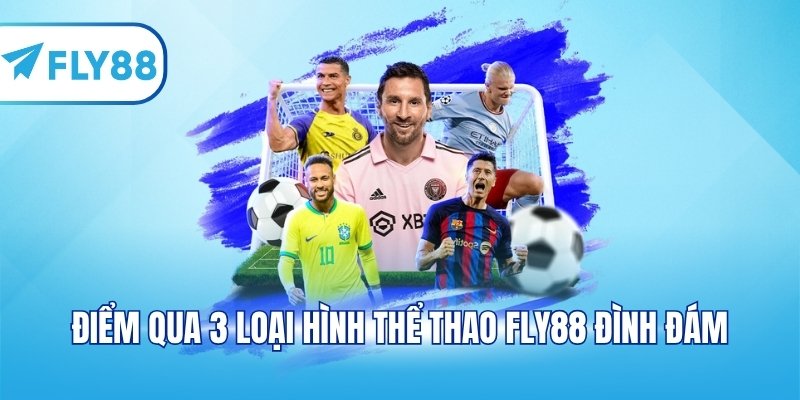 Điểm qua 3 loại hình thể thao FLY88 đình đám